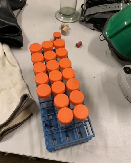 Vials in rack